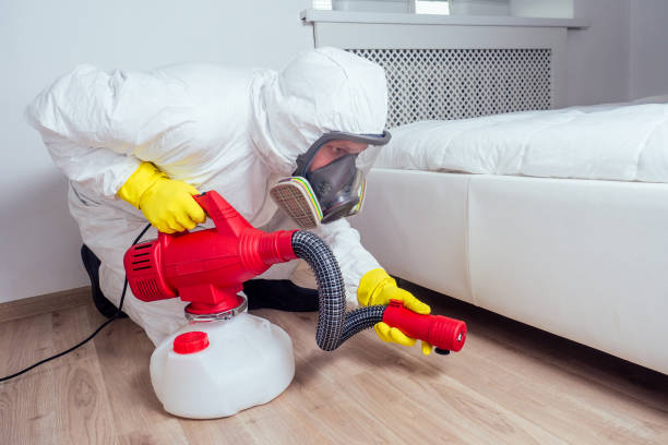 Best Residential Pest Control  in Comanche, TX